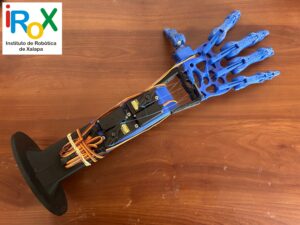 Mano Robot iRoX